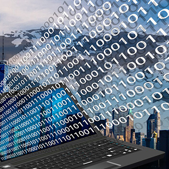 Nauka ogrodnictwa: Jak zacząć własną przygodę z uprawą roślin?